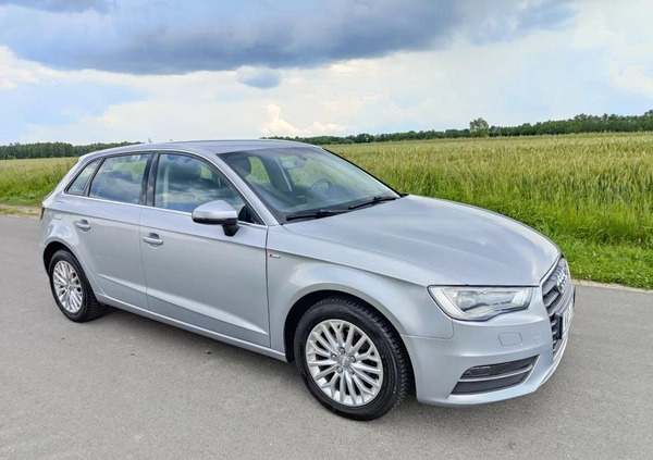 Audi A3 cena 49900 przebieg: 177800, rok produkcji 2015 z Janów Lubelski małe 781